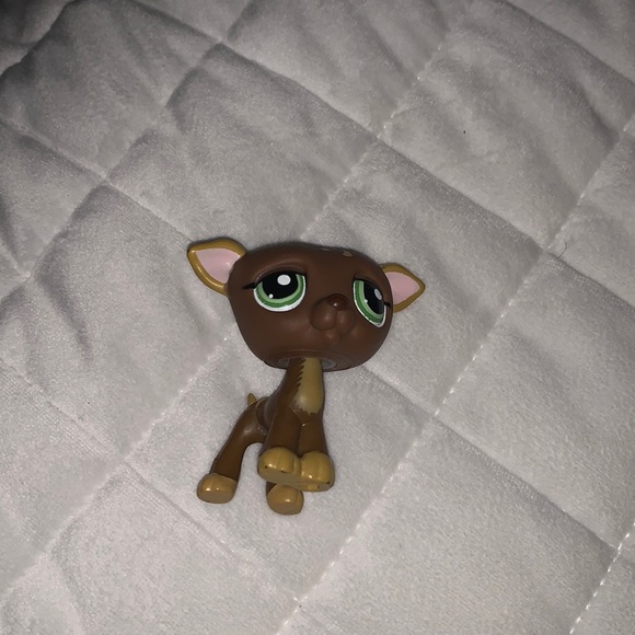 Littlest pet shot dog - Picture 1 of 2